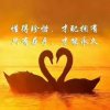 星吉星的头像