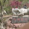 美琪副族长【好汉有硷赵东明】(单身）的头像
