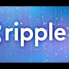 Ripple的头像