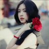 温馨园真爱一生的头像
