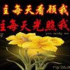 数算主恩的头像