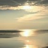 。的头像