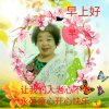 君子兰的头像