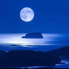 南湾望月的头像