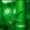 我心悠悠的头像