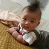 人生如歌的头像