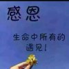 青春的头像