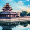 悦悦的头像