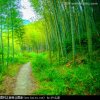人生如梦的头像