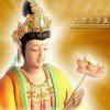 脱鞋就唱的头像