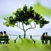 老骥伏枥的头像