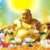 不离不弃的头像