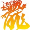 飞龙在天灬的头像