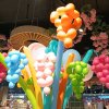 子涵太阳的头像