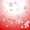 芙蓉秋艳的头像