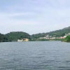 福翔畵海的头像