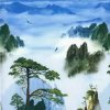 冬天的枫叶（回复不周请见谅）的头像