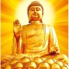 随缘的头像