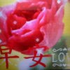 YUCHEN的头像