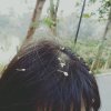 恶魔小仙女的头像