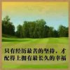 淡定的头像