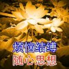 0的头像