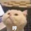 的头像