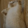 三狗子人生赢家的头像