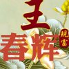 王春辉的头像