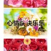 xiaoqiong的头像