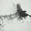 曲终人散的头像