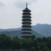 阳杨的头像