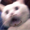s ᴋ ʏ ᴇ 的头像