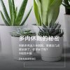 但愿人生都好的头像