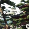 一切安好！的头像