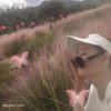 海阔天空的头像