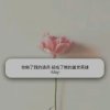 Bj XDYl EI的头像
