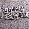  美好回忆的头像