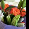 文昌芹的头像