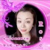 靖王府♀导师雪中莲Rose（鼠年吉祥安康！）的头像