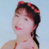 兰花草的头像