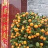 *^_^*廖的头像