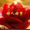 刘刘的头像
