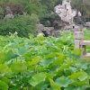 伊雨苒的头像
