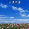 云淡风也轻的头像