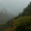 綄羙/緈諨的头像