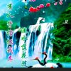 燕南飞 《钟情》的头像