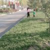 平安是福的头像