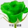 勤勤的头像
