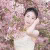 艳子的头像